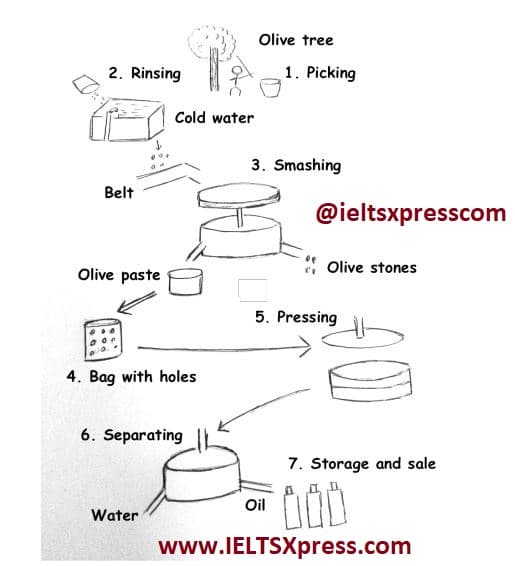 production of olive oil ielts process diagram ieltsxpress
