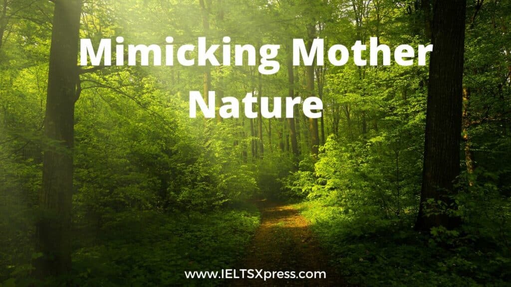 Mimicking Mother Nature ielts reading academic ieltsxpress